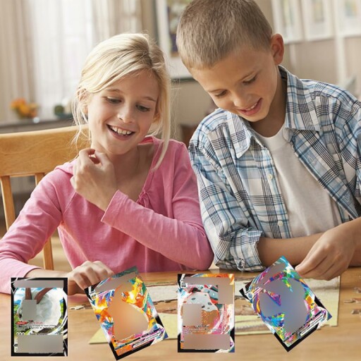 Détails des Cartes Brillante Françaises