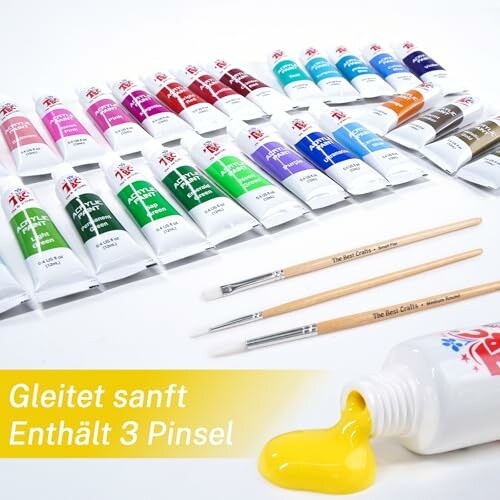 TBC Kit de Peinture Acrylique