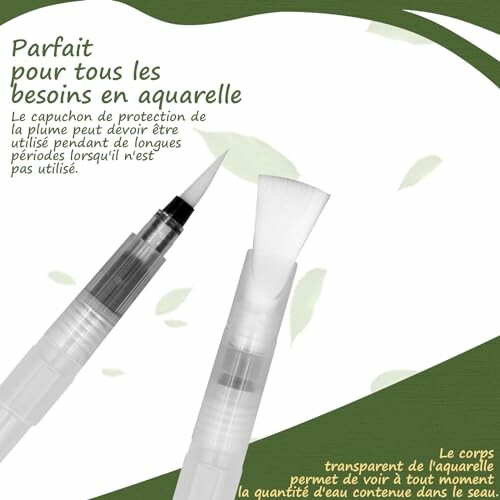 Brosse et stylo pour aquarelle avec texte en français.