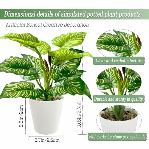 Détails dimensionnels d'un produit de plante en pot simulée.