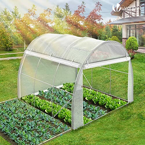 VOUNOT® Serre de Jardin Tunnel