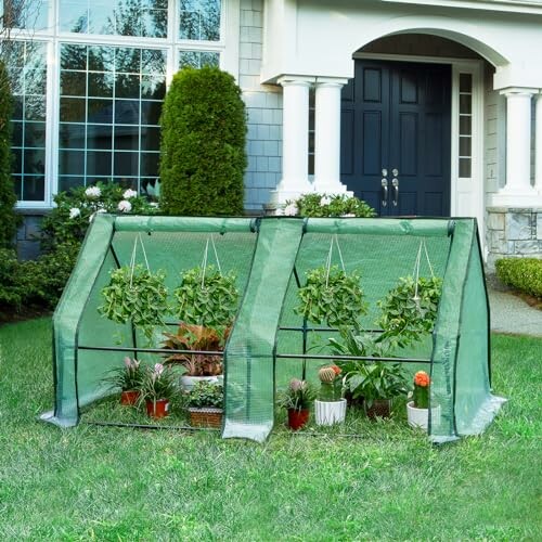 WOLTU Serre de Jardin