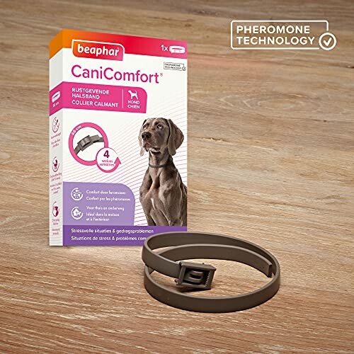 Collier calmant pour chien avec technologie de phéromone