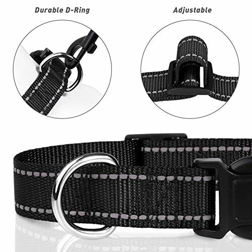 Collier pour chien noir avec anneau en D et boucle réglable.