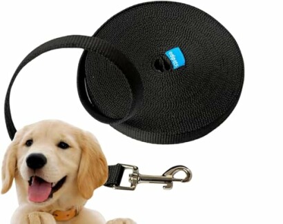 Laisse Edipets pour Chien 10 M