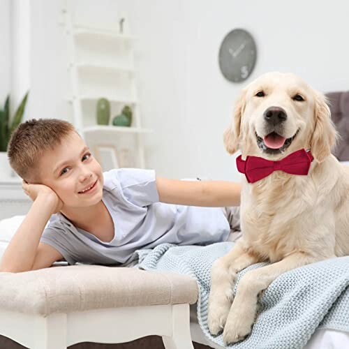 Garçon allongé à côté d'un chien avec un nœud papillon rouge.