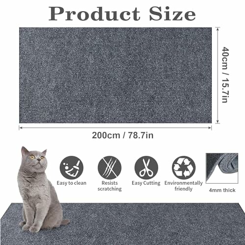 Tapis protecteur pour chat avec dimensions et caractéristiques