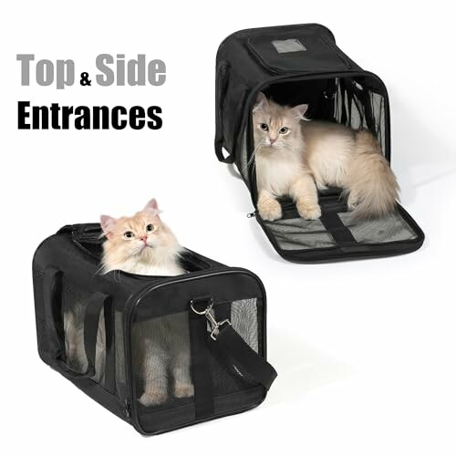 Chats dans un sac de transport avec entrées latérales et supérieures