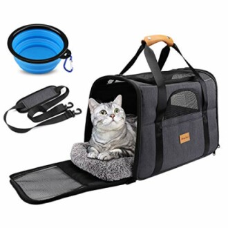 Chat dans un sac de transport avec accessoires