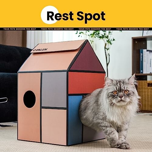 Chat gris sortant d'une maison moderne pour animaux.