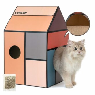 Chat sortant d'une maison en carton colorée.