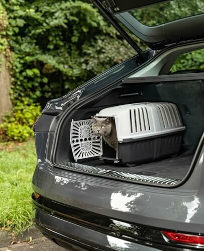 Chat gris dans une cage de transport dans le coffre d'une voiture.