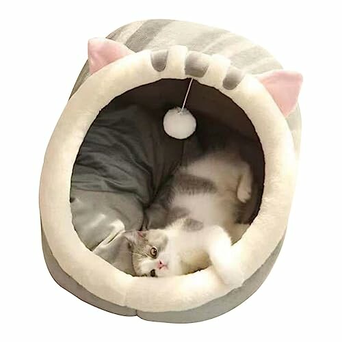 Chat allongé dans un lit douillet.