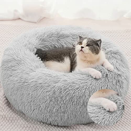 Coussin pour Chats ou Petits Chiens