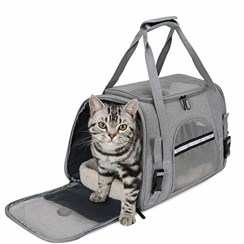 Chat assis dans un sac de transport pour animaux.