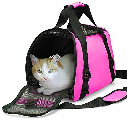 Chat blanc et roux dans un sac de transport rose