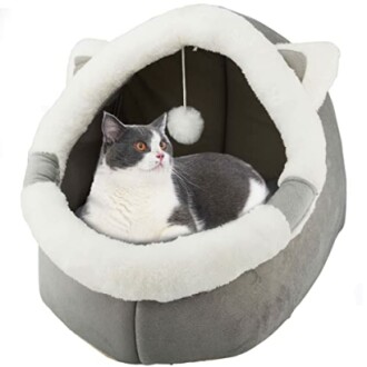 Chat gris et blanc dans un lit douillet en peluche.