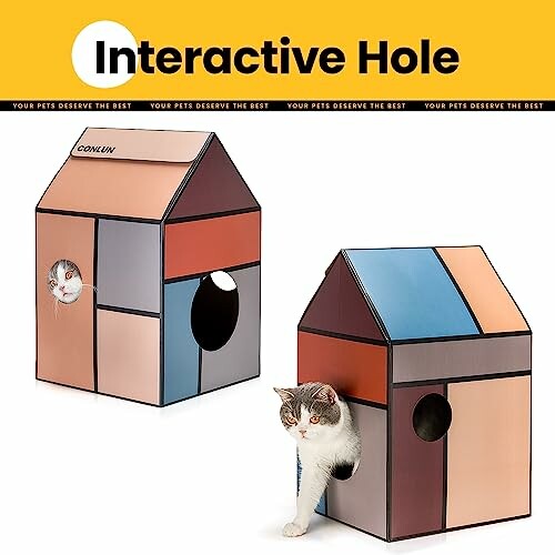 Chat explorant une maison de jeu colorée avec trous interactifs.