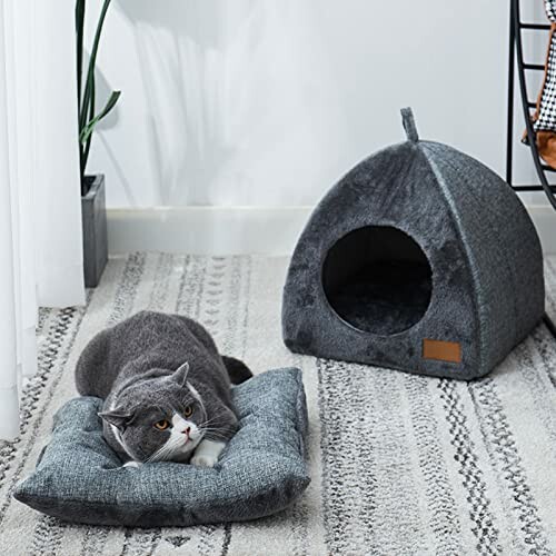 Grotte pour Chat Niche