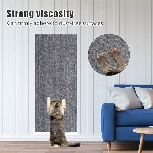 Chat utilisant un tapis à griffer fixé au mur.