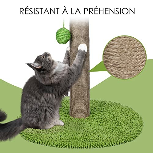 Chat jouant avec un poteau à griffer