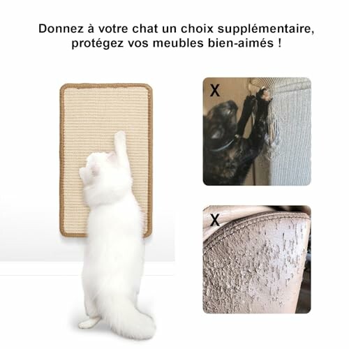 Chat utilisant un griffoir mural.