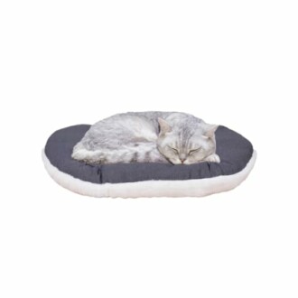 Chat gris dormant sur un coussin.