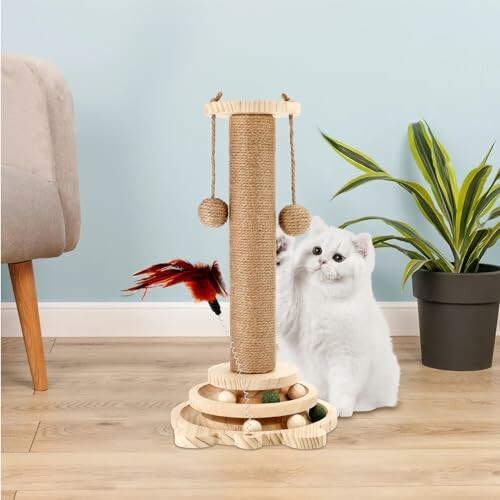 Chat blanc à côté d'un poteau à gratter avec jouets.