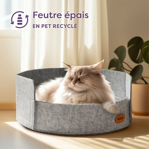 Lit pour Chat Knupis