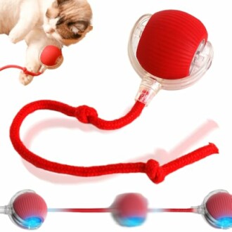 Chat jouant avec une balle rouge attachée à une corde.