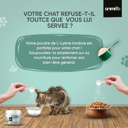 Supplément de L-Lysine pour chat avec nourriture.