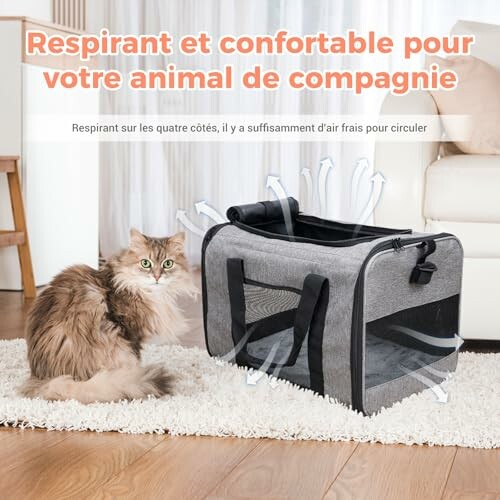 Chat à côté d'un sac de transport respirant et confortable.