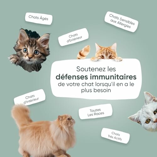 Chats de différentes races et âges avec texte sur le soutien immunitaire.