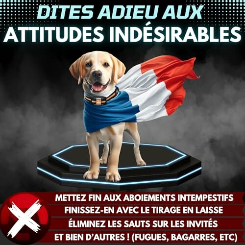 Chien portant un drapeau français avec texte sur les attitudes indésirables