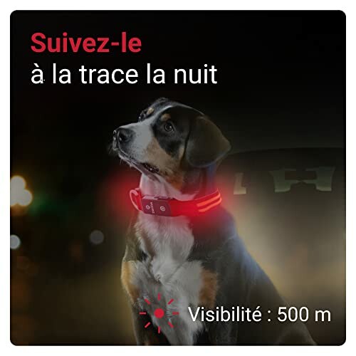 Collier Chien LED Tractive