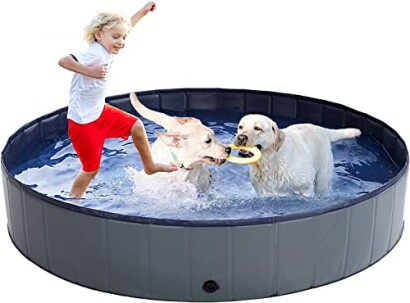 Enfant et deux chiens jouant dans une piscine