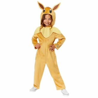 Combinaison Pokémon Eevee