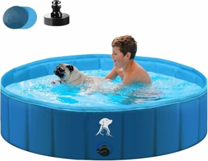 Enfant et chien dans une piscine bleue.