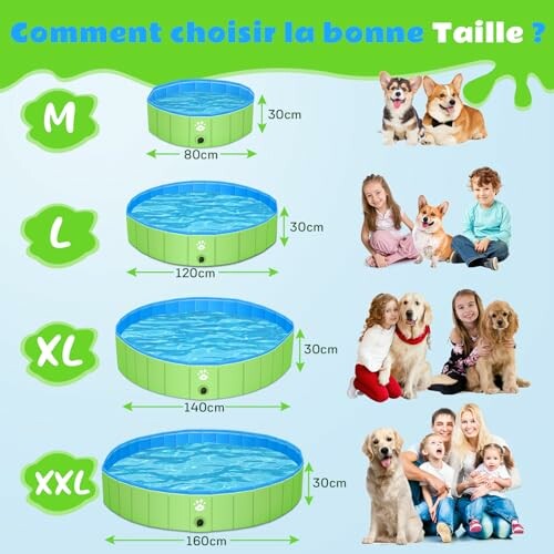 Guide des tailles de piscines pour chiens avec différentes races.