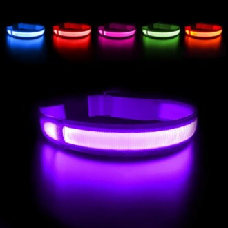 Collier lumineux LED pour chiens en différentes couleurs.