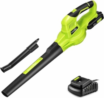 SnapFresh Souffleur Batterie 20V