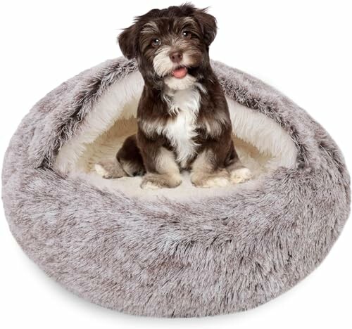 Lit Moelleux pour Chien en Forme de Coquillage