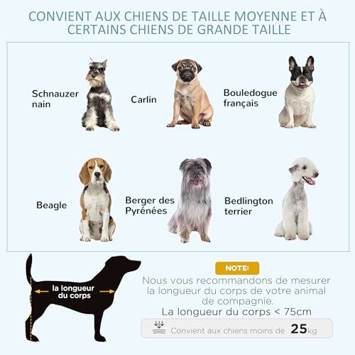 Recommandations de taille pour différentes races de chiens.