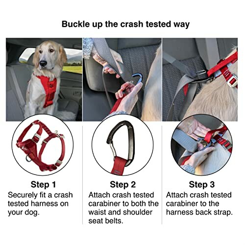 Instructions pour attacher un harnais de sécurité pour chien dans une voiture.