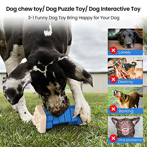 Gros chien jouant avec un jouet interactif pour chiens.