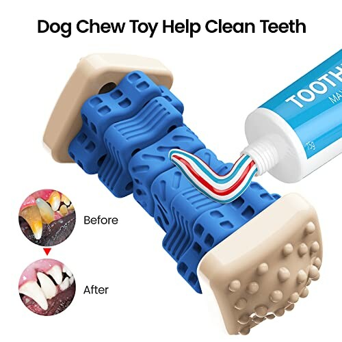 Jouet à mâcher pour chien avec dentifrice, avant et après nettoyage des dents.