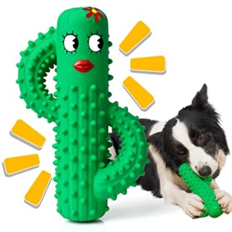 Chien jouant avec un jouet en forme de cactus.