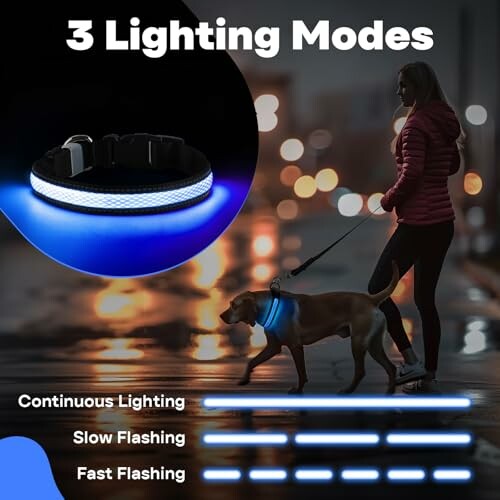 Femme promenant un chien avec un collier lumineux à trois modes d'éclairage.