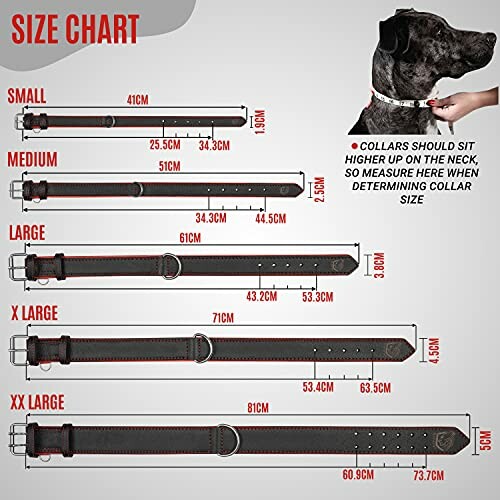 Tableau des tailles de colliers pour chiens avec instructions de mesure