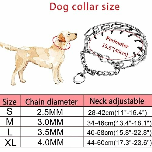 Tableau des tailles de colliers pour chien avec illustration.